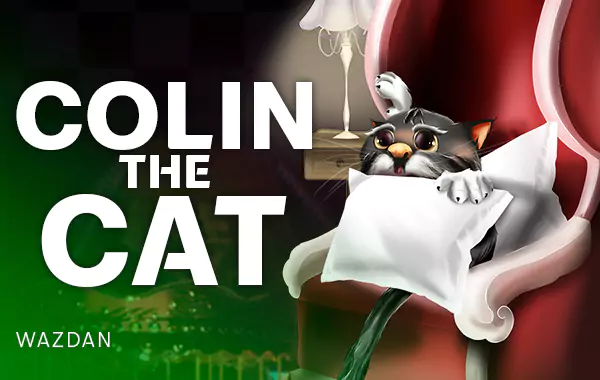 colin-the-cat-h